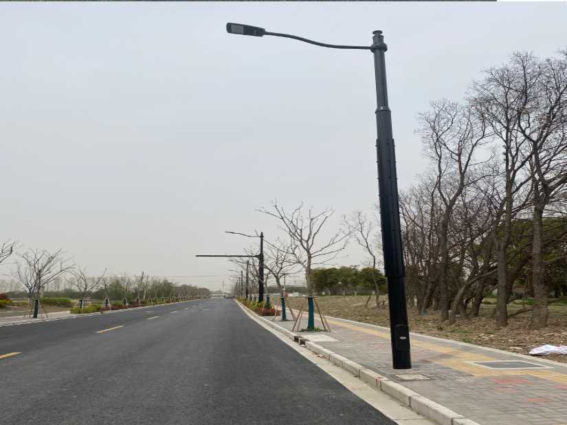 灵川县上海综合杆 太阳能路灯工程